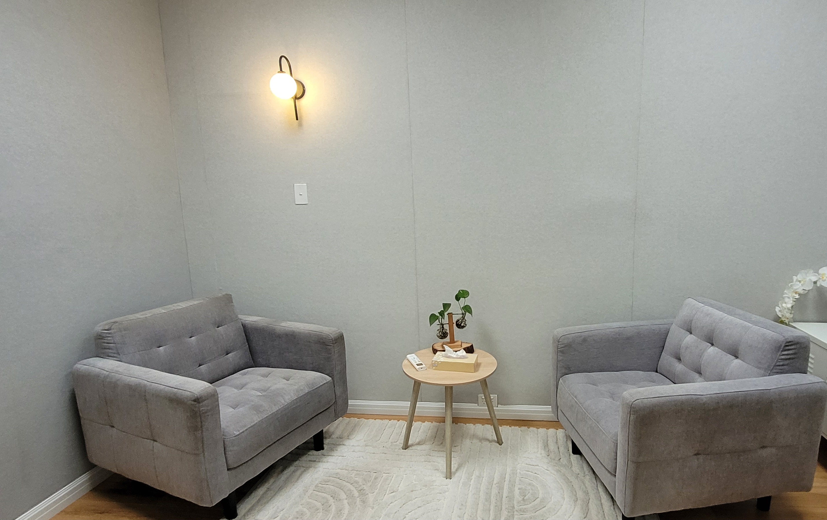 Therapy Room detail 2