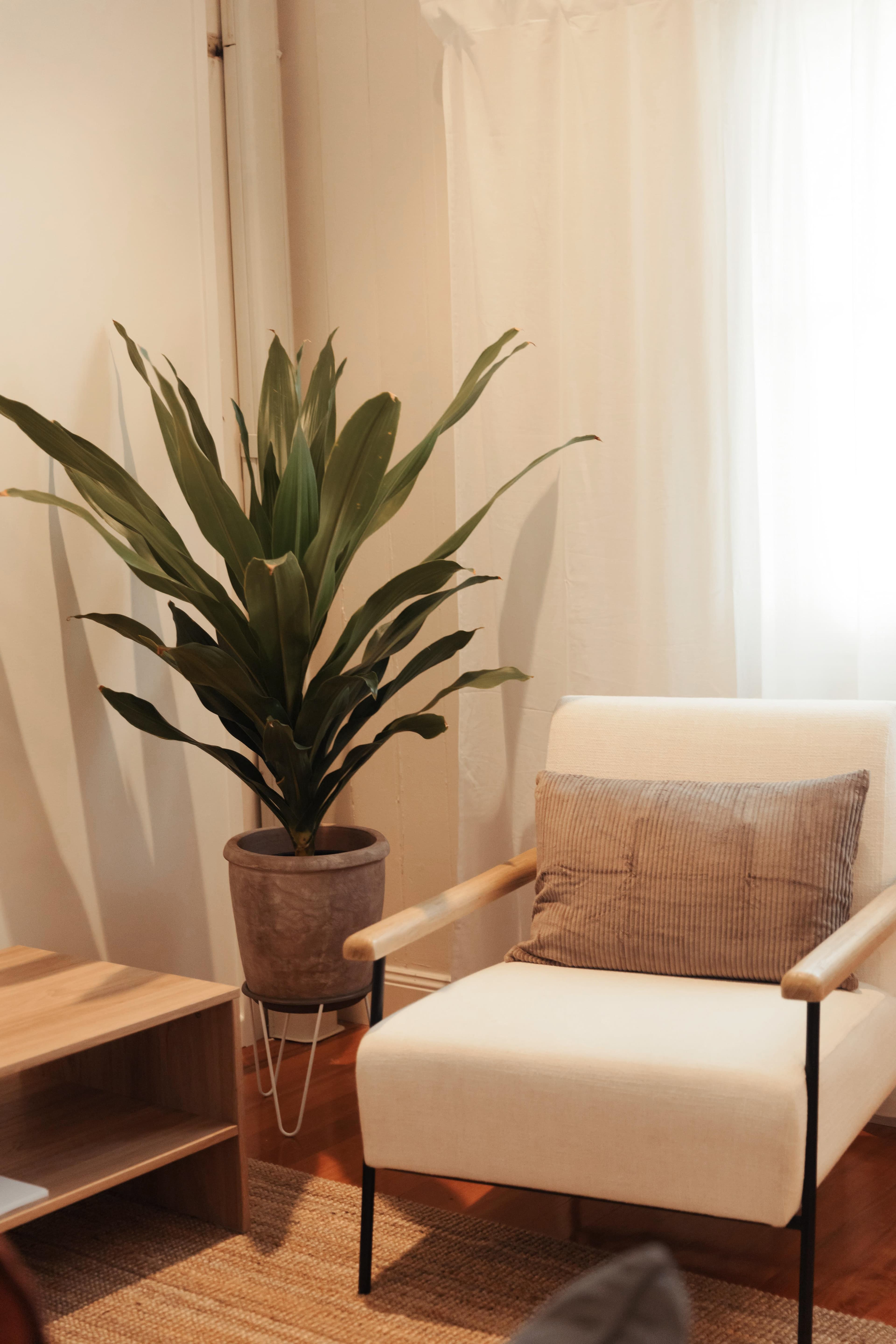 Room search in Jindalee