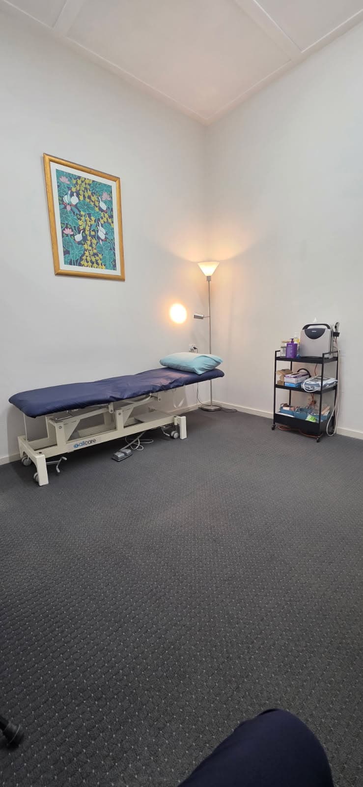 Allied Health Room in Annandale, NSW