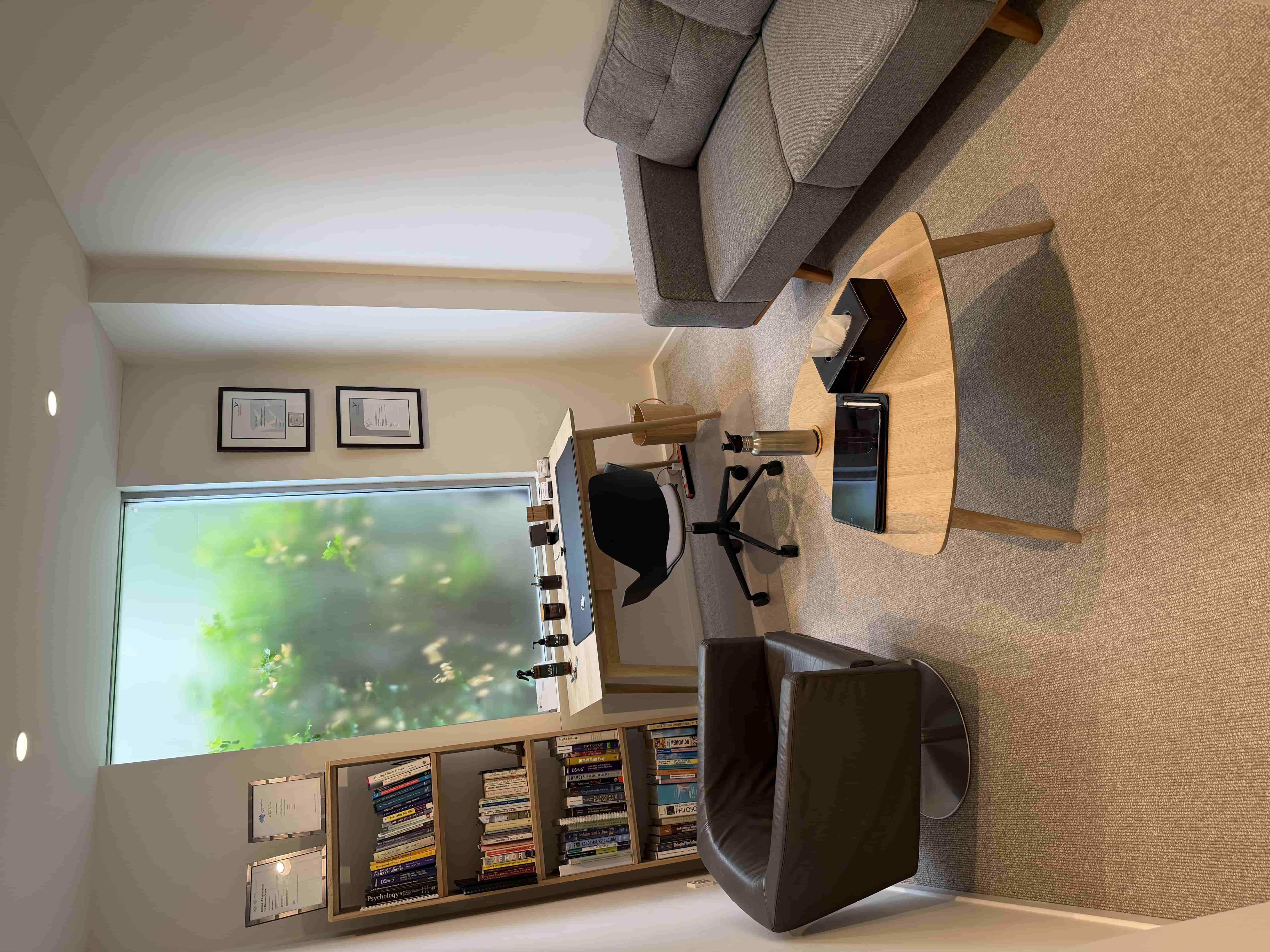 Therapy Room detail 2