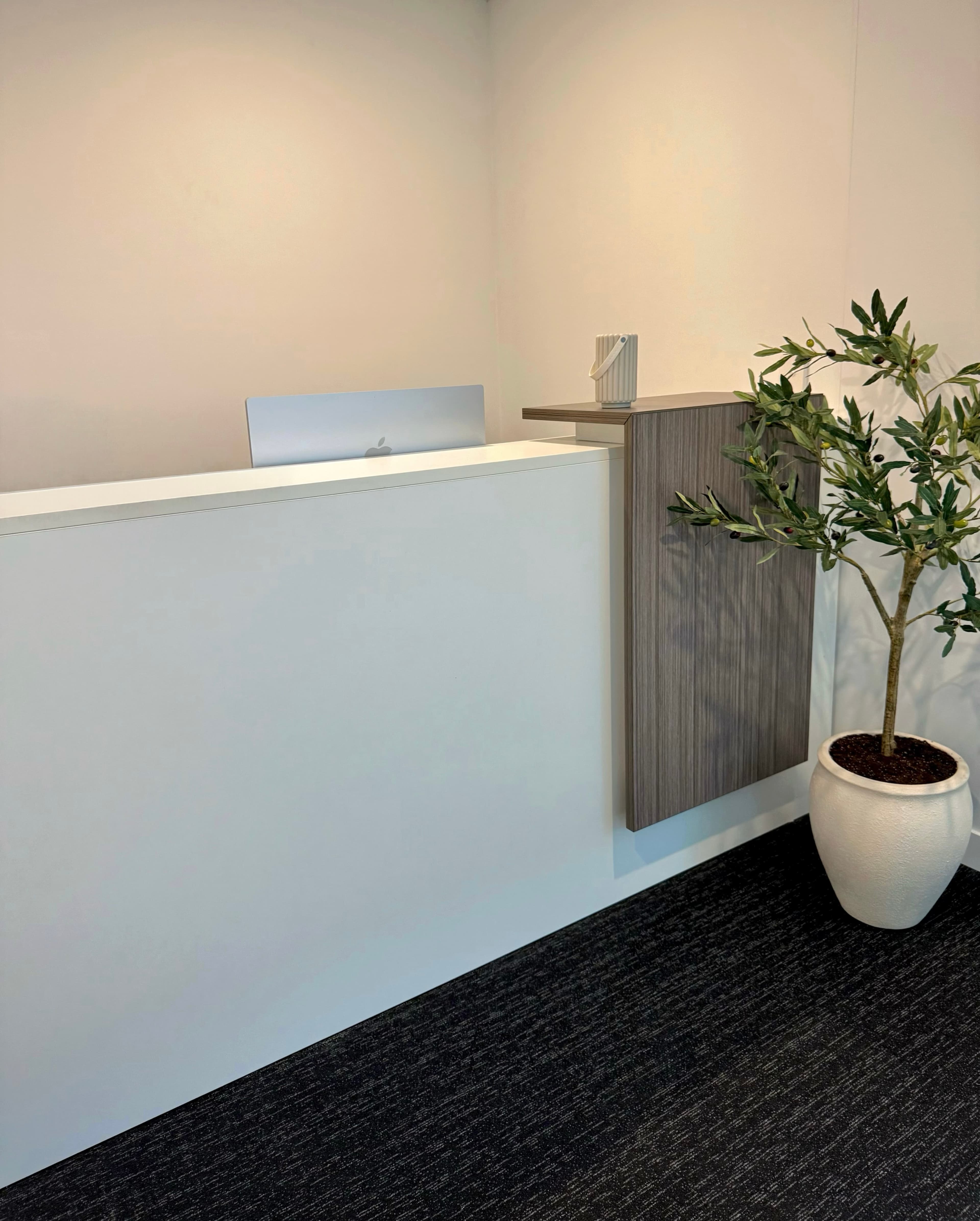 Therapy Room detail 4