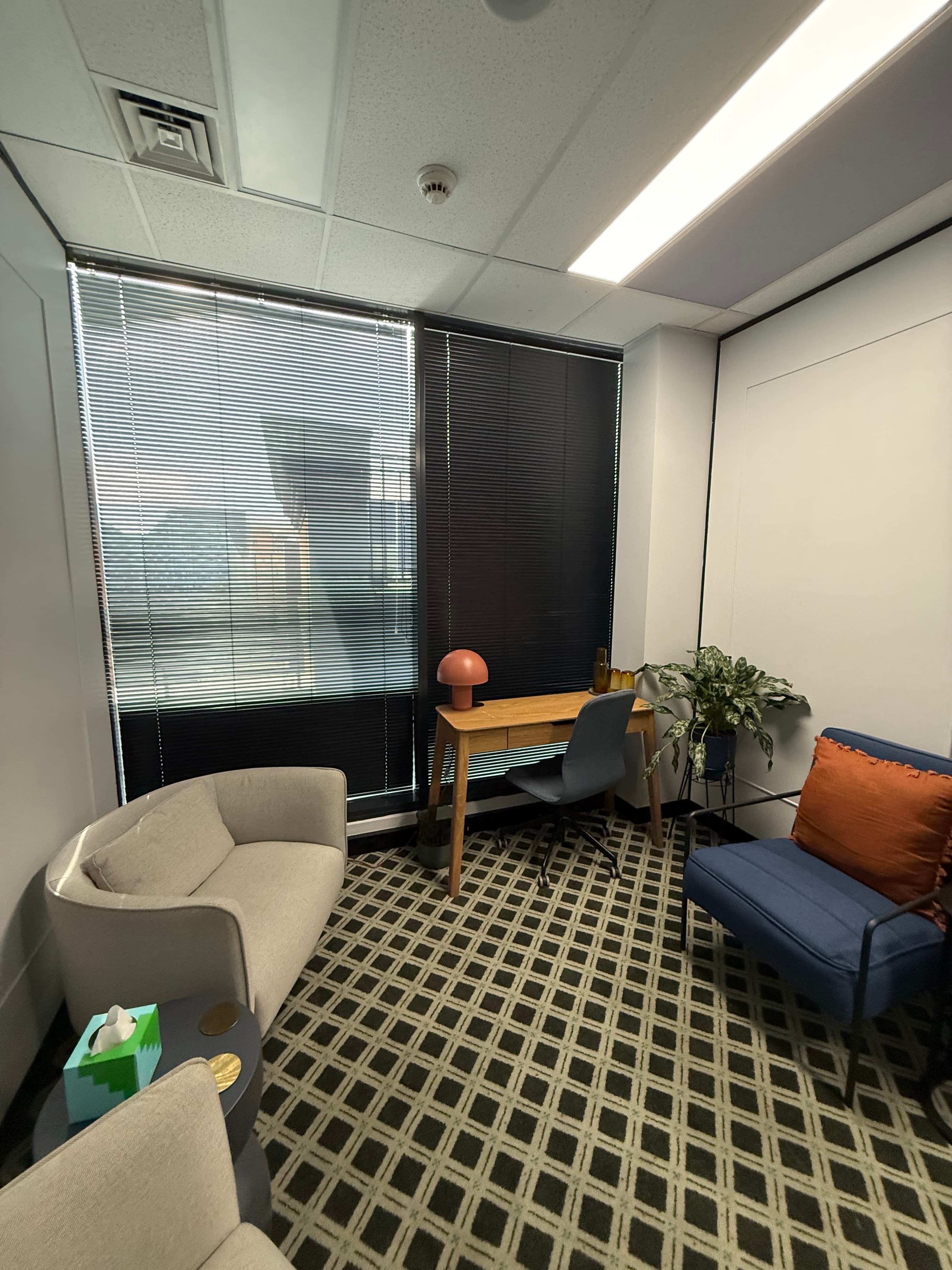 Therapy Room detail 2